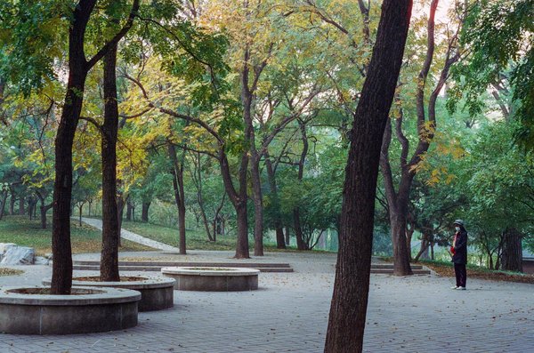 Top grossistes de cbd à ne pas manquer en 2025