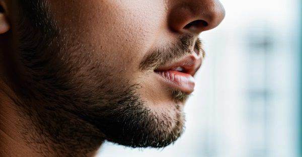 Top 5 des meilleurs sites cbd pour vos achats en 2025